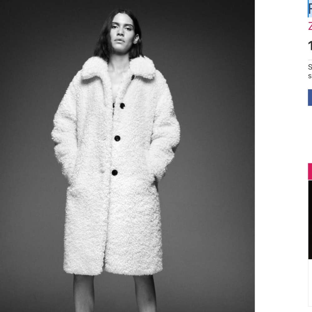 Faux fur Coat- Zara - Picture 5 of 5
